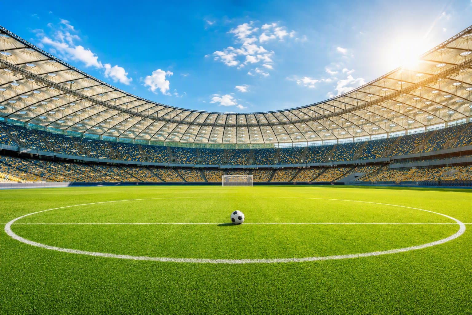 Soccer Victory - illustration, Jake Team LLC
